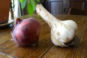 タマネギとニンニク
