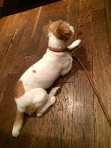 レストランにて